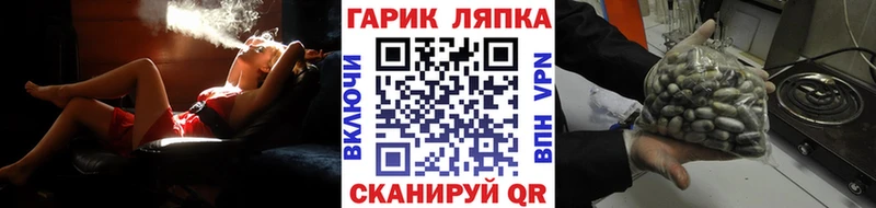 Гашиш индика сатива  купить наркотик  Северодвинск 