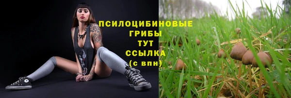 МДМА Волосово