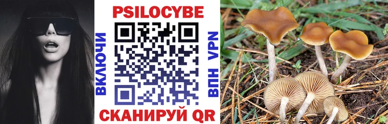закладка  Северодвинск  Галлюциногенные грибы GOLDEN TEACHER 